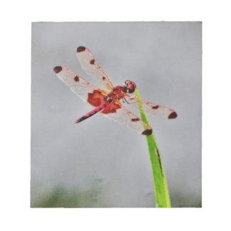 DSC00029.JPG NOTITIEBLOK