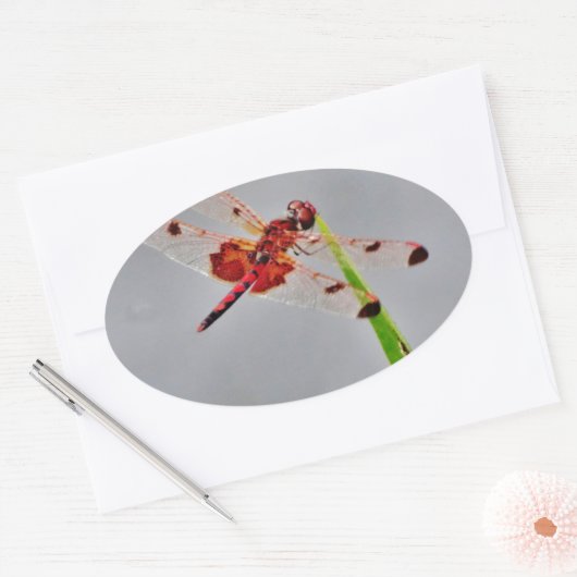 DSC00029.JPG OVALE STICKER (Envelop)