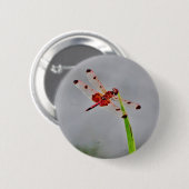 DSC00029.JPG RONDE BUTTON 5,7 CM (Voorkant /achterkant)