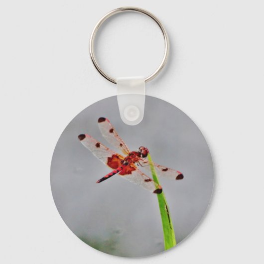 DSC00029.JPG SLEUTELHANGER (Voorkant)