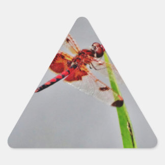 DSC00029.JPG STICKER