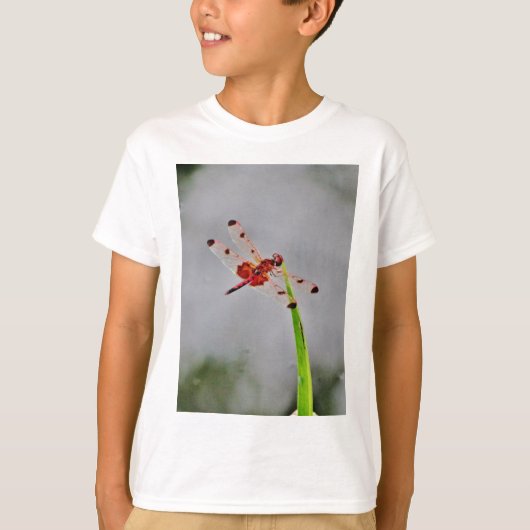 DSC00029.JPG T-SHIRT (Voorkant)