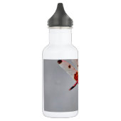 DSC00029.JPG WATERFLES  (Links)