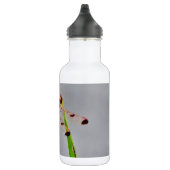 DSC00029.JPG WATERFLES  (Rechts)