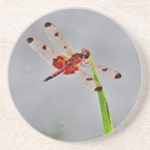 DSC00029.JPG ZANDSTEEN ONDERZETTER