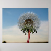 DSC00033 POSTER (Voorkant)