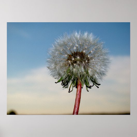 DSC00033 POSTER (Voorkant)