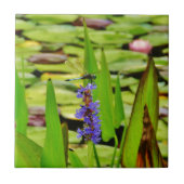 DSC00059.JPG TEGELTJE (Voorkant)