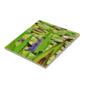 DSC00059.JPG TEGELTJE (Zijkant)