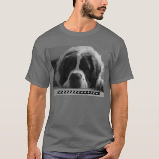 DSC00061, Zzzzzzzzzzzzz T-shirt (Voorkant)