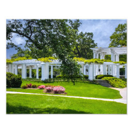 DSC00070-2-Arlington House Garden Foto Afdruk