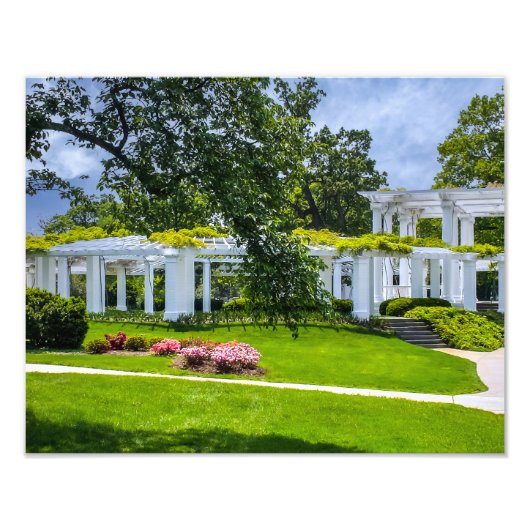 DSC00070-2-Arlington House Garden Foto Afdruk (Voorkant)