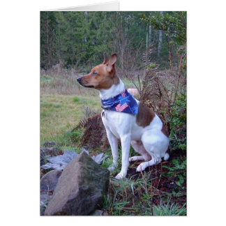 DSC00088 Rat hond Rick