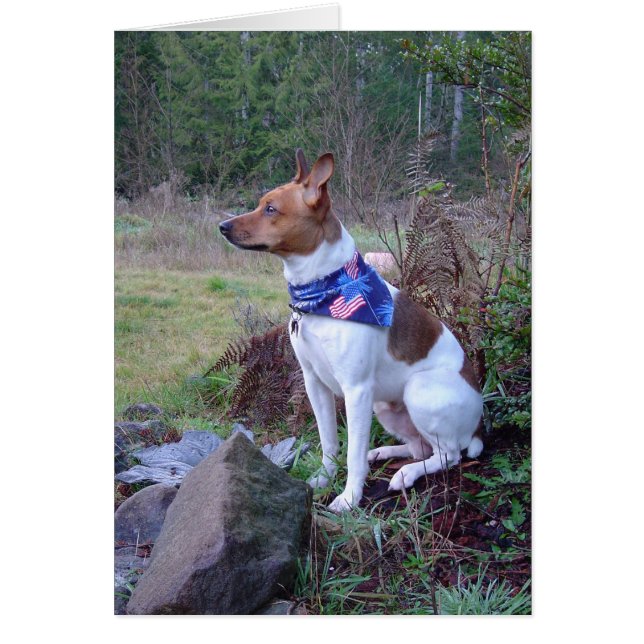 DSC00088 Rat hond Rick (Voorkant)