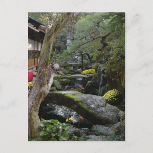 DSC00095 BRIEFKAART (Voorkant)