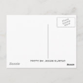 DSC00096, Kyoto, Japan, Kyoto, Japan Briefkaart (Achterkant)