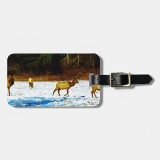 DSC00131.JPG BAGAGELABEL