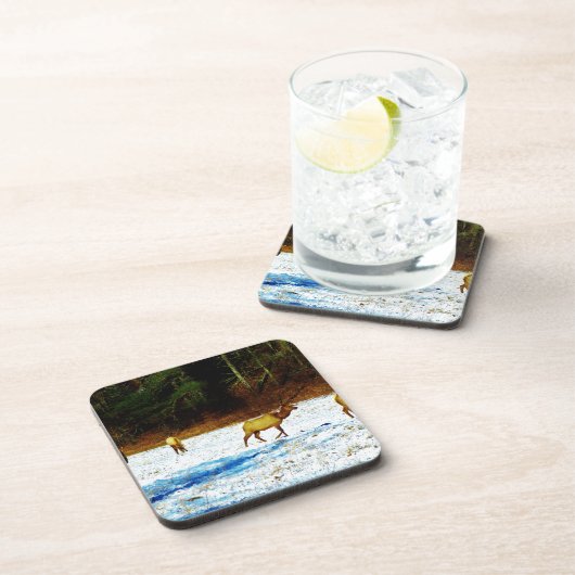 DSC00131.JPG BIER ONDERZETTER (Rechterzijde)