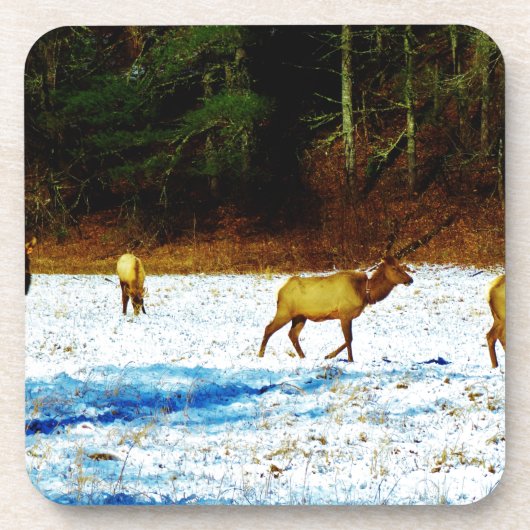 DSC00131.JPG BIER ONDERZETTER (Voorkant)