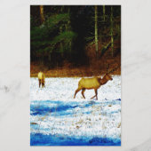 DSC00131.JPG BRIEFPAPIER (Voorkant)