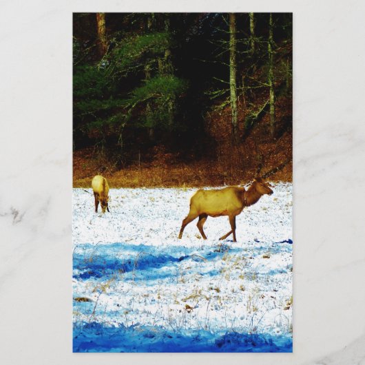 DSC00131.JPG BRIEFPAPIER (Voorkant)