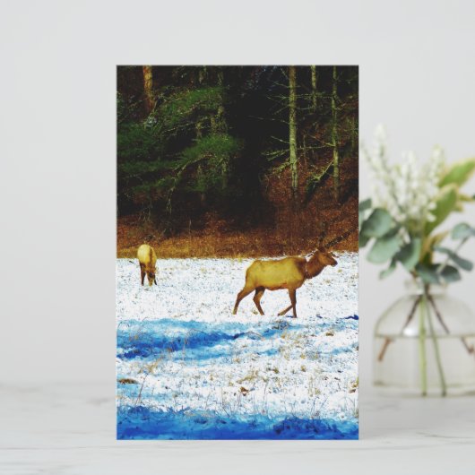 DSC00131.JPG BRIEFPAPIER (Staand voorkant)