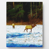 DSC00131.JPG FOTOPLAAT (Voorkant)