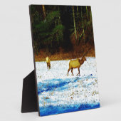 DSC00131.JPG FOTOPLAAT (Zijkant)