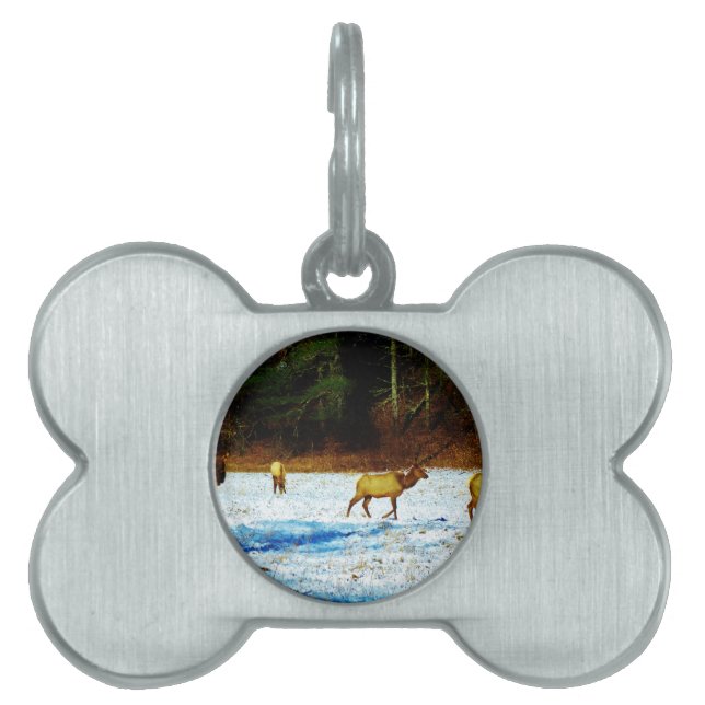 DSC00131.JPG HUISDIEREN NAAMPLAATJE (voorkant)