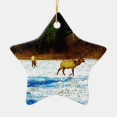 DSC00131.JPG KERAMISCH ORNAMENT (Voorkant)