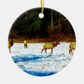 DSC00131.JPG KERAMISCH ORNAMENT (Voorkant)