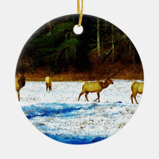 DSC00131.JPG KERAMISCH ORNAMENT (Voorkant)