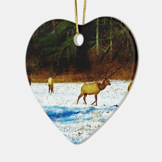 DSC00131.JPG KERAMISCH ORNAMENT (Links)