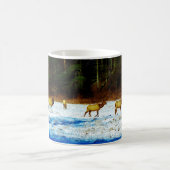 DSC00131.JPG KOFFIEMOK (Center)