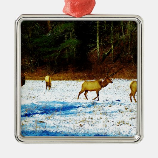 DSC00131.JPG METALEN ORNAMENT (Voorkant)