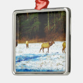 DSC00131.JPG METALEN ORNAMENT (Links)