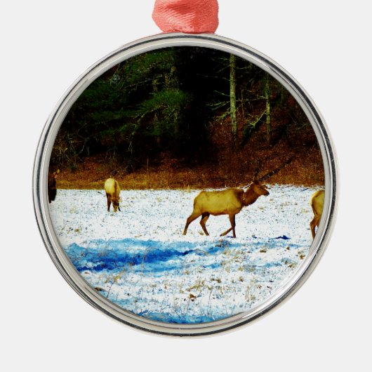 DSC00131.JPG METALEN ORNAMENT (Voorkant)