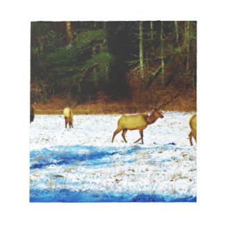 DSC00131.JPG NOTITIEBLOK