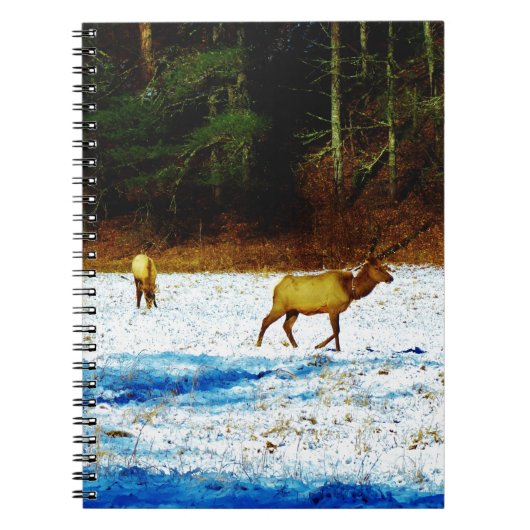 DSC00131.JPG NOTITIEBOEK (Voorkant)