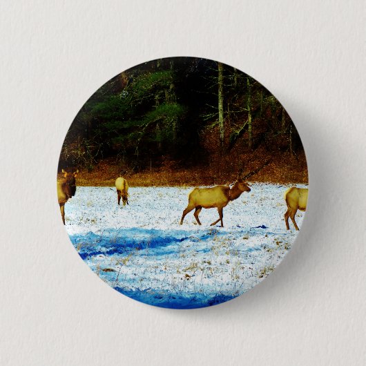 DSC00131.JPG RONDE BUTTON 5,7 CM (Voorkant)