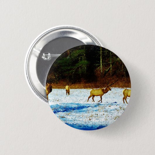 DSC00131.JPG RONDE BUTTON 5,7 CM (Voorkant /achterkant)