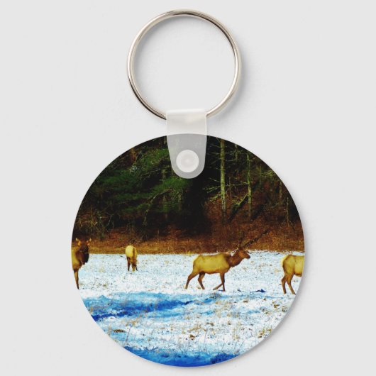 DSC00131.JPG SLEUTELHANGER (Voorkant)