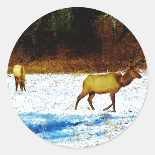 DSC00131.JPG STICKER (Voorkant)