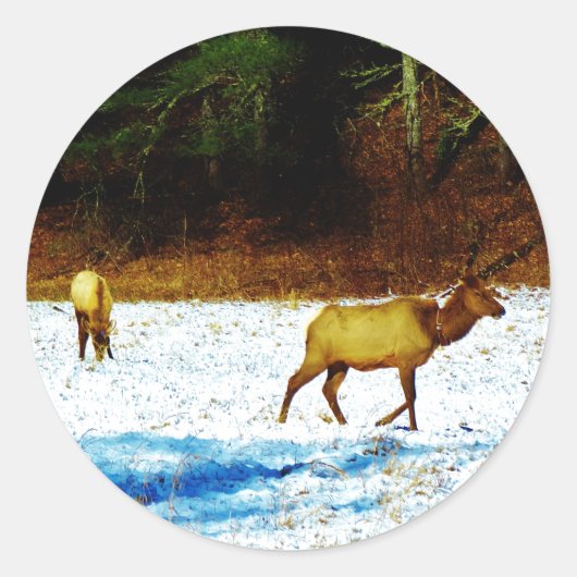 DSC00131.JPG STICKER (Voorkant)