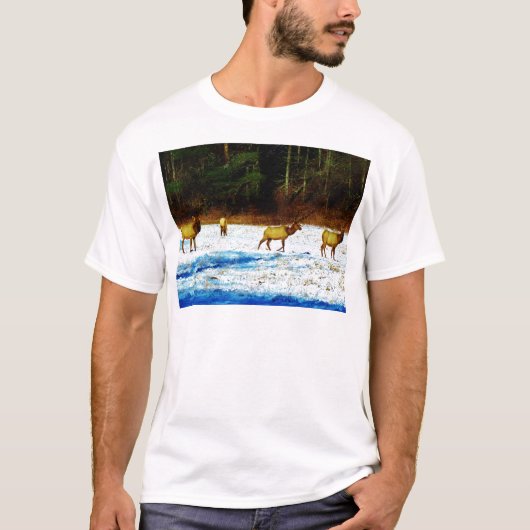 DSC00131.JPG T-SHIRT (Voorkant)