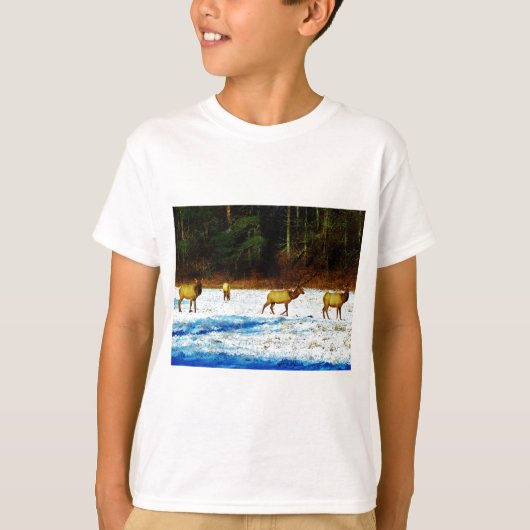 DSC00131.JPG T-SHIRT (Voorkant)