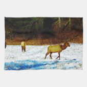 DSC00131.JPG THEEDOEK (Horizontaal)