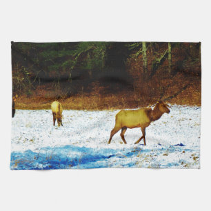 DSC00131.JPG THEEDOEK