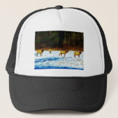 DSC00131.JPG TRUCKER PET (Voorkant)