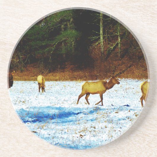 DSC00131.JPG ZANDSTEEN ONDERZETTER (Voorkant)